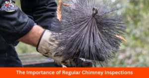 Dr Sweep expert chimney inspection.